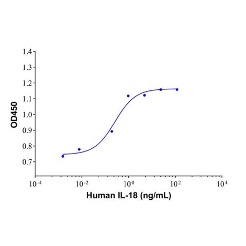 aladdin 阿拉丁 rp147444 Recombinant Human IL-18 Protein Animal Free, >95% (SDS-PAGE&SEC-HPLC), Active, E.coli, No tag, 37-193 aa