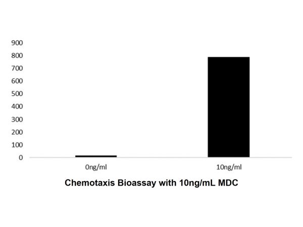 aladdin 阿拉丁 rp148631 Recombinant Human MDC Protein Animal Free, >97%(SDS-PAGE, HPLC), Active, E.coli, No tag, 25-93aa