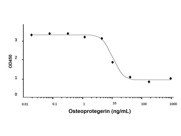 aladdin 阿拉丁 rp149600 Recombinant Human Osteoprotegerin Protein Animal Free, >95%(SDS-PAGE, HPLC), Active, E.coli, No tag, 22-194 aa