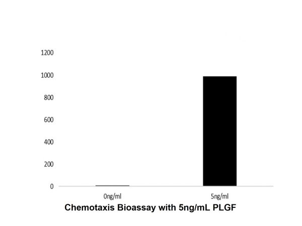 aladdin 阿拉丁 rp150316 Recombinant Human PLGF Protein Animal Free, >97%(SDS-PAGE and HPLC), Active, E.coli, No tag, 19-170 aa