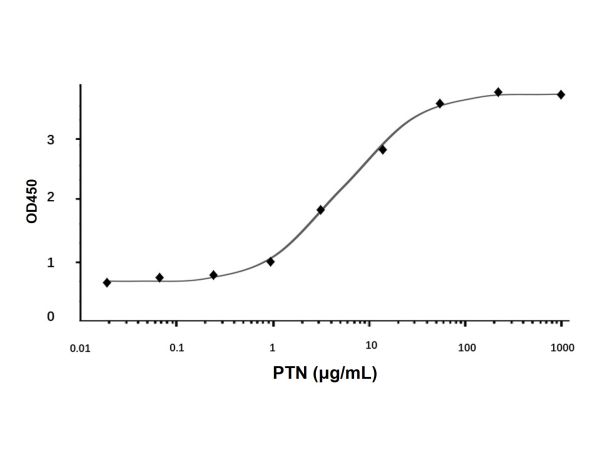 aladdin 阿拉丁 rp150679 Recombinant Human PTN Protein Animal Free, >96% (SDS-PAGE&HPLC), Active, E.coli, No tag, 33-168 aa