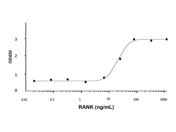 aladdin 阿拉丁 rp150851 Recombinant Human RANK Protein Animal Free, >98%(SDS-PAGE), Active, E. coli, No tag, 29-202 aa