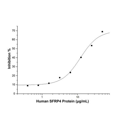 aladdin 阿拉丁 rp151482 Recombinant Human SFRP4 Protein Animal Free, >95%(SDS-PAGE), Active, CHO Stable Cells, C-His tag, 22-346 aa