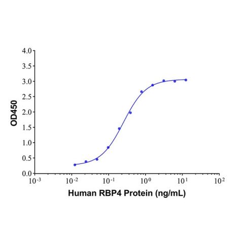 aladdin 阿拉丁 Ab176170 RBP4 Mouse mAb mAb( 3D4-1); Mouse anti Human RBP4 Antibody; Detection Antibody, ELISA, CLIA, LF, GICA, FIA; Unconjugated