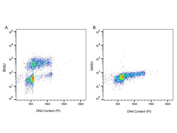 aladdin 阿拉丁 Ab176205 BrdU Mouse mAb mAb (AB06/4C1); Mouse anti BrdU Antibody; Flow, ICC/IF, ELISA; Unconjugated