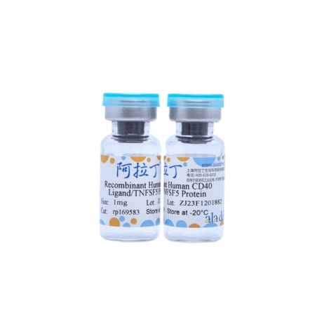 aladdin 阿拉丁 rp169583 Recombinant Human CD40 Ligand/TNFSF5 Protein Carrier Free, >98% SDS-PAGE, E.coli, His tag, 108-261 aa