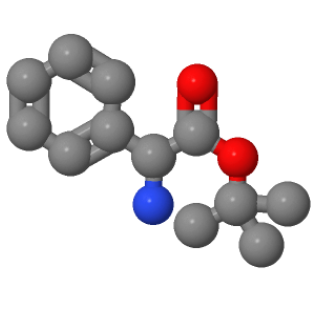 L-苯甘氨酸叔丁酯；53934-78-4