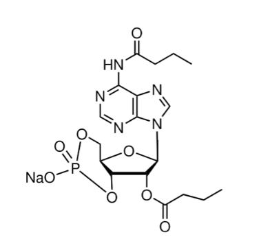 aladdin 阿拉丁 D124575 N6,2′-O-二丁酰基腺苷3′,5′-环磷酸 钠盐 16980-89-5 ≥97% (HPLC)