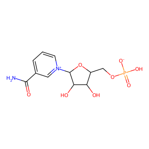 aladdin 阿拉丁 N413255 β-Nicotinamide Mononucleotide