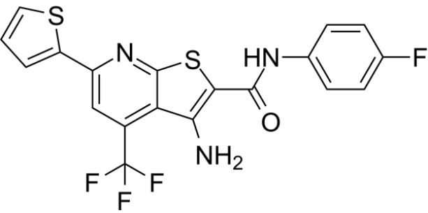 SALOR-INT L224693-1EA