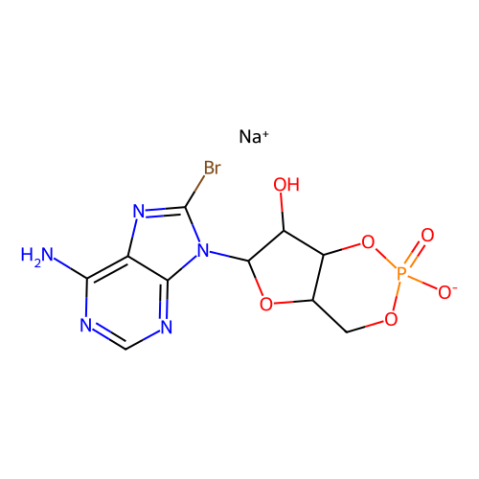 aladdin 阿拉丁 B304590 8-溴-cAMP,PKA激活剂 76939-46-3 99%