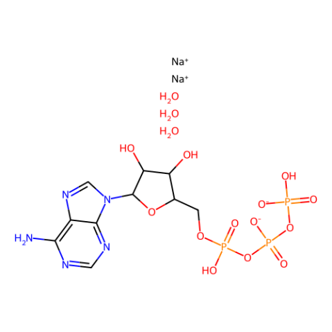 aladdin 阿拉丁 A295090 5'-三磷酸腺苷二钠盐 三水合物 51963-61-2 ≥98%