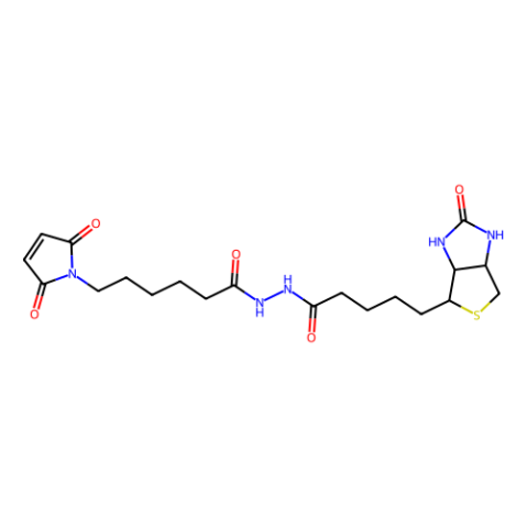 aladdin 阿拉丁 B302263 生物素-马来酰亚胺 116919-18-7 ≥95%