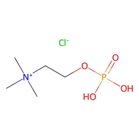 aladdin 阿拉丁 P302169 磷酸胆碱 107-73-3 ≥98%