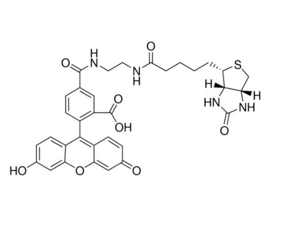 aladdin 阿拉丁 B378953 生物素（5-荧光素）缀合物 957494-27-8 90%