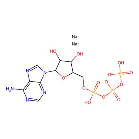 aladdin 阿拉丁 A100880 腺苷-5′-三磷酸二钠盐(ATP) 987-65-5 ≥98%