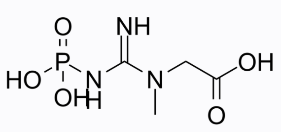 aladdin 阿拉丁 P333235 磷酸肌酸 67-07-2 ≥92%