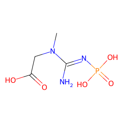 aladdin 阿拉丁 P333235 磷酸肌酸 67-07-2 ≥92%