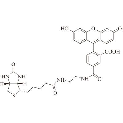 aladdin 阿拉丁 B598297 生物素-4-荧光素 1032732-74-3 90%