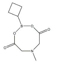 aladdin 阿拉丁 C586367 环丁基硼酸 MIDA 酯 1104637-37-7 97%