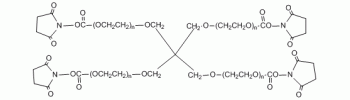 aladdin 阿拉丁 A163111 四臂 PEG N-羟基琥珀酰亚胺 MW 5000 Da