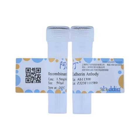 aladdin 阿拉丁 Ab113089 Recombinant LI Cadherin Antibody Recombinant (R04-5A8); Rabbit anti Human LI Cadherin Antibody; WB; Unconjugated