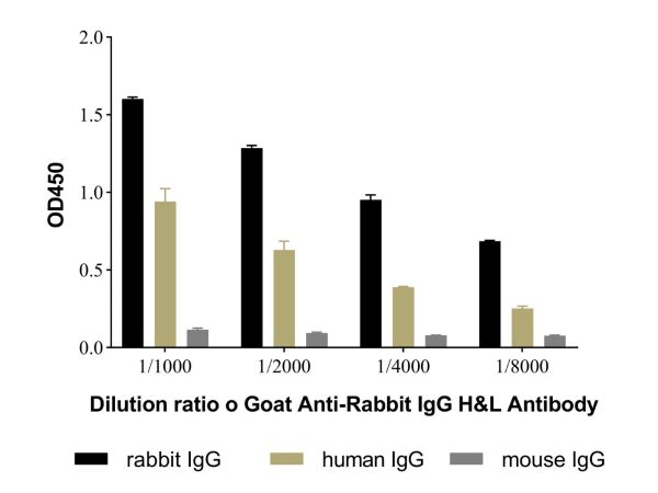 aladdin 阿拉丁 Ab138272 Goat Anti-Rabbit IgG H&L Antibody Secondary Antibody; Goat Anti-Rabbit IgG H&L Antibody; WB, ELISA, CLIA, LF, GICA; Unconjugated