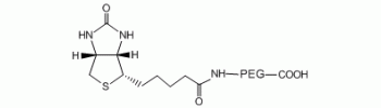 aladdin 阿拉丁 B163325 生物素-PEG-羧酸 MW 10000 Da