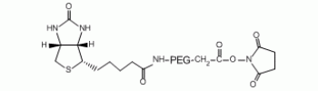 aladdin 阿拉丁 B163376 生物素-PEG-N-羟基琥珀酰亚胺 MW 1000 Da