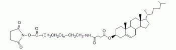 aladdin 阿拉丁 C163453 Cholesterol PEG NHS, CLS-PEG-NHS 95%,MW 10000 Da