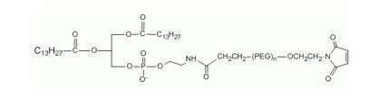 aladdin 阿拉丁 D163562 2-豆蔻酸锡酰-3-磷脂乙醇胺 PEG 马来酰亚胺, DMPE-PEG-Mal MW 2000 Da