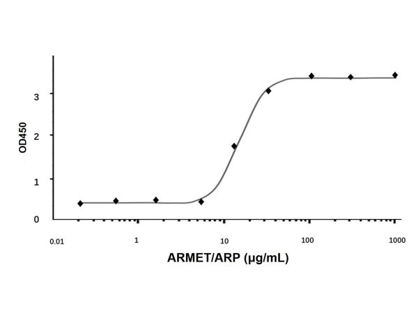 aladdin 阿拉丁 rp142973 Recombinant Human ARMET/ARP Protein Animal Free, >95%(SDS-PAGE and HPLC), Active, E.coli, No tag, 25-182aa