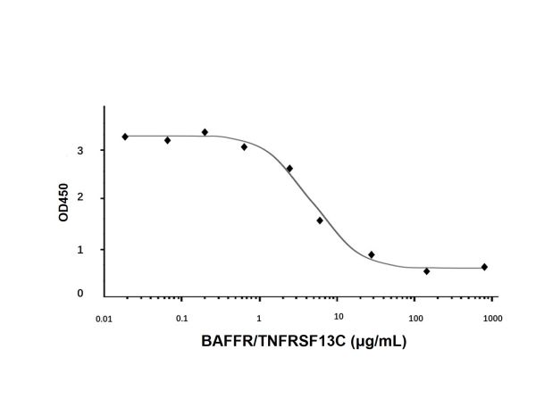 aladdin 阿拉丁 rp143136 Recombinant Human BAFFR/TNFRSF13C Protein Animal Free, >95%(SDS-PAGE), Active, E.coli, No tag, 1-76 aa