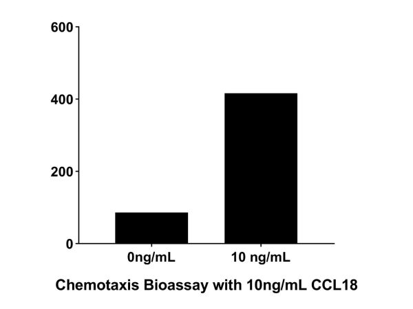 aladdin 阿拉丁 rp143731 Recombinant Human CCL18 Protein Carrier Free, ＞96%(SDS-PAGE,HPLC), Active, E.coli, No tag, 22-89 aa  