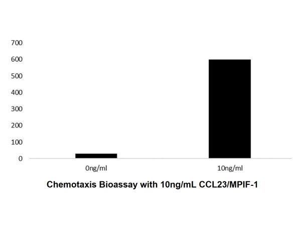 aladdin 阿拉丁 rp143739 Recombinant Human CCL23/MPIF-1 Protein Animal Free, >97%(SDS-PAGE and HPLC), Active, E.coli, No tag,  22-120 aa