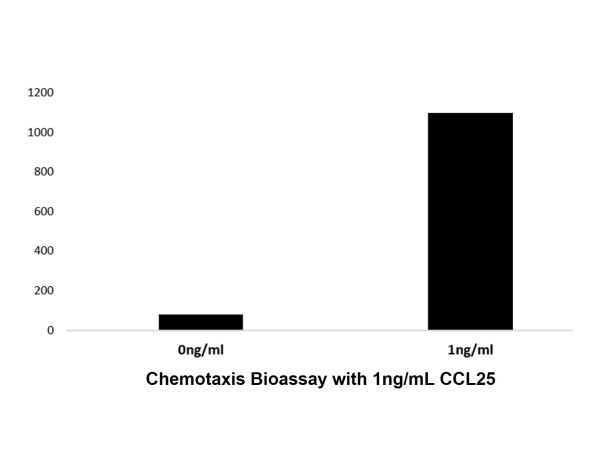 aladdin 阿拉丁 rp143741 Recombinant Human CCL25 Protein Animal Free, >97%(SDS-PAGE and HPLC), Active, E.coli, No tag, 24-150 aa