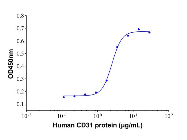 aladdin 阿拉丁 rp143954 Recombinant Human CD31/PECAM-1 Protein Animal Free, >95%(SDS-PAGE), Active, 293F, His tag, 28-601 aa 