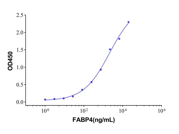 aladdin 阿拉丁 rp145772 Recombinant Human FABP4 Protein Animal Free, > 95%(SDS-PAGE), Active, 293F, His tag, 2-132 aa