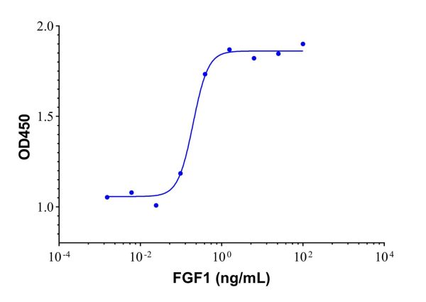 aladdin 阿拉丁 rp145907 Recombinant human FGF1 protein Animal Free, >95% SDS-PAGE, Active, E.coli, No tag, 16-155 aa