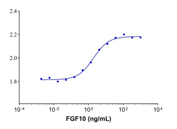 aladdin 阿拉丁 rp145913 Recombinant Human FGF10 Protein Animal Free, >95% SDS-PAGE, Active, E.coli, No tag, Leu40-Ser208