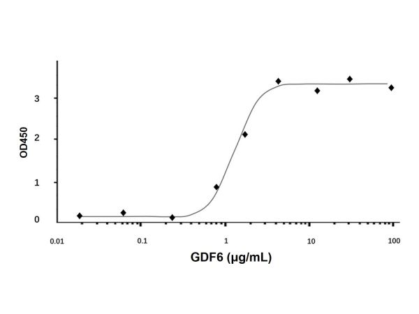 aladdin 阿拉丁 rp146383 Recombinant Human GDF6 Protein Animal Free, >95%(SDS-PAGE and HPLC), Active, E.coli, No tag, 336-455 aa