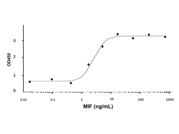 aladdin 阿拉丁 rp148808 Recombinant Human MIF Protein Animal Free, ≥95%(SDS-PAGE), Active, E.coli, No tag, 1-115 aa