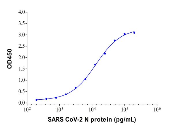 aladdin 阿拉丁 Ab155837 SARS CoV-2 N Protein Mouse mAb mAb (C07/6H1); Mouse anti SARS CoV-2 N Protein Antibody; Capture antibody, ELISA; Unconjugated