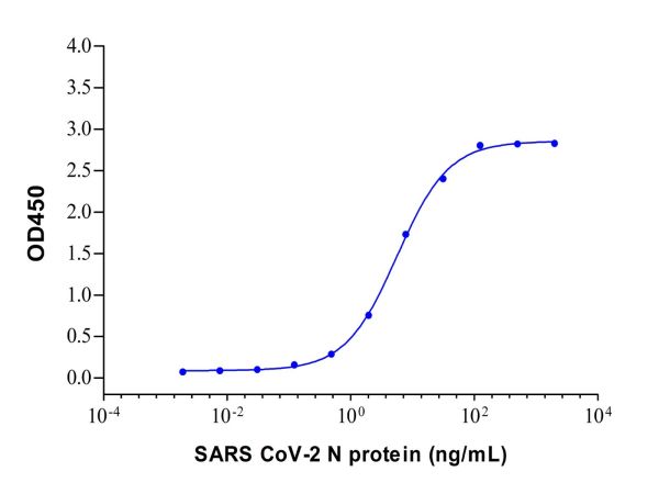 aladdin 阿拉丁 Ab155837 SARS CoV-2 N Protein Mouse mAb mAb (C07/6H1); Mouse anti SARS CoV-2 N Protein Antibody; Capture antibody, ELISA; Unconjugated