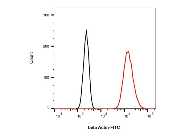 aladdin 阿拉丁 Ab156254 Goat Anti-Mouse IgG H&L (FITC) Secondary Antibody; Goat Anti-Mouse IgG H&L (FITC); IF, Flow