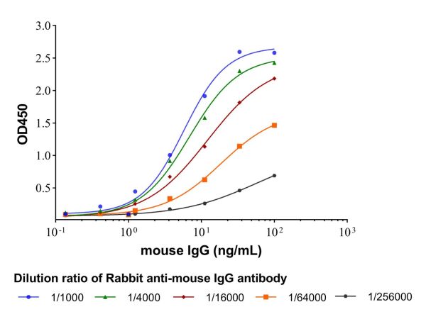 aladdin 阿拉丁 Ab170451 Rabbit anti-mouse IgG antibody ≥95％