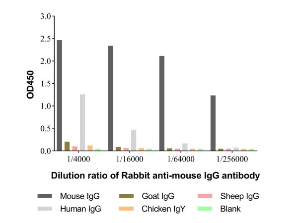 aladdin 阿拉丁 Ab170451 Rabbit anti-mouse IgG antibody ≥95％