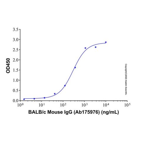 aladdin 阿拉丁 Ab175976 BALB/c Mouse IgG ≥ 95%; Isotype Control Antibody; BALB/c Mouse IgG; Unconjugated