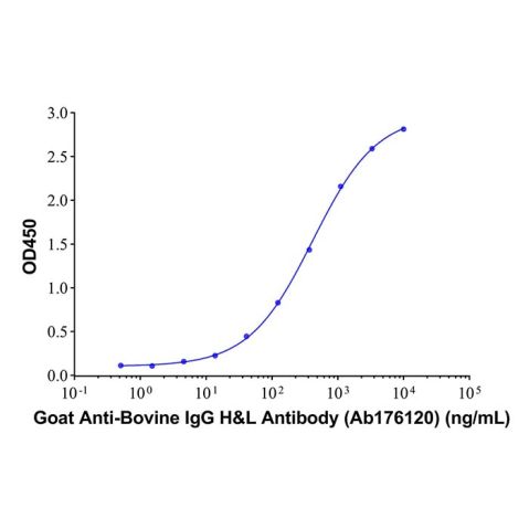 aladdin 阿拉丁 Ab176120 Goat Anti-Bovine IgG H&L Antibody Secondary Antibody; Goat Anti-Bovine IgG H&L Antibody; WB, CLIA, LF, GICA, EIA; Unconjugated