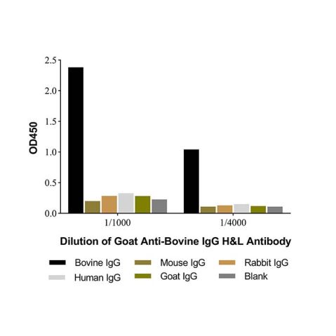 aladdin 阿拉丁 Ab176120 Goat Anti-Bovine IgG H&L Antibody Secondary Antibody; Goat Anti-Bovine IgG H&L Antibody; WB, CLIA, LF, GICA, EIA; Unconjugated